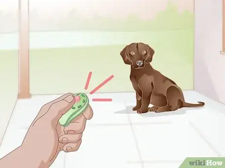 Image titled Train a Dog to Stand Up Step 2