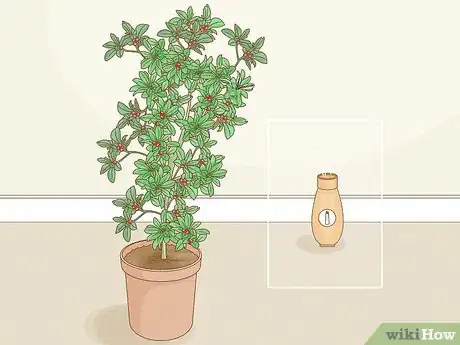 Image titled Grow Miracle Berries Step 13