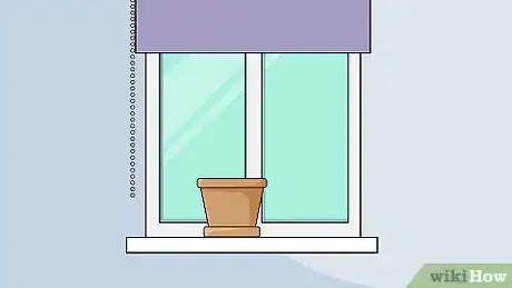 Image titled Grow Calla Lilies Step 4