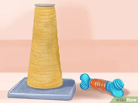 Image titled Keep a Dog or Cat Successfully While Living in an Apartment Step 20