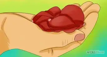 Keep Rose Petals Fresh