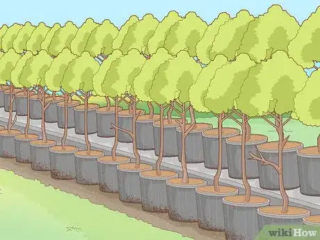 Image titled Start a Tree Farm Step 2