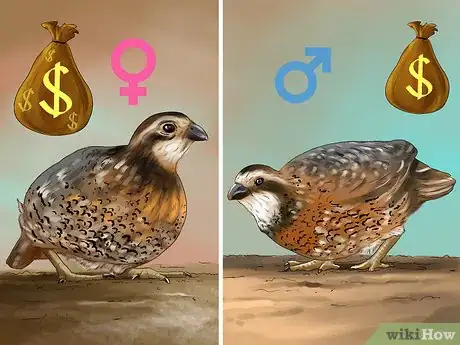 Image titled Sell Quail Step 14