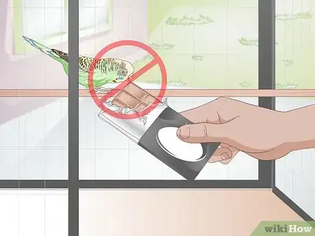 Image titled Avoid Poisoning Your Pet Bird Step 1