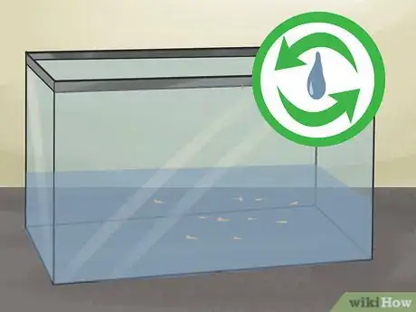 Image titled Breed Fish Step 11