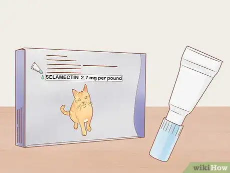 Image titled Give Selamectin to Cats with Parasites Step 1