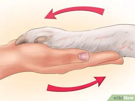 Image titled Clip Dog Nails Step 5