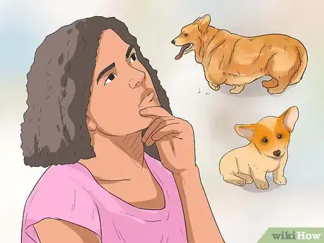 Image titled Choose Between a Shelter or a Breeder Dog Step 1