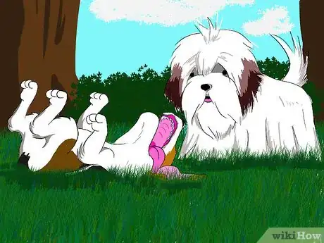 Image titled Pick the Perfect Puppy Step 3