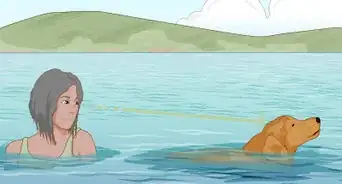 Safely Introduce Your Dog to Water