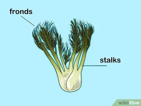 Image titled Use Fennel in Recipes Step 3
