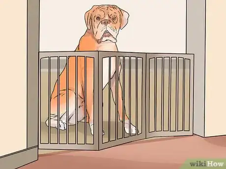 Image titled House Train Your Dog in Less than a Week Step 3