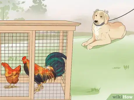 Image titled Introduce a Dog to Pet Chickens Step 10