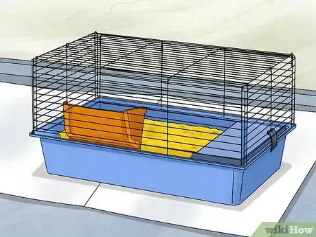 Image titled Keep Your Guinea Pigs Healthy Step 8