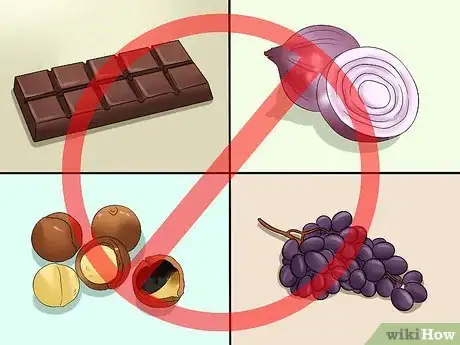 Image titled Prepare a Healthy Meal for Your Pet Dog Step 3