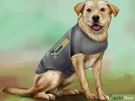 Image titled Keep Your Dog Safe in Extreme Weather Step 2