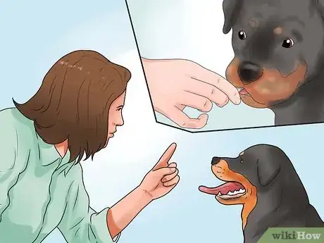 Image titled Become Your Dogs' Playmate Step 3