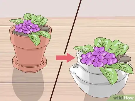 Image titled Grow African Violets Step 15