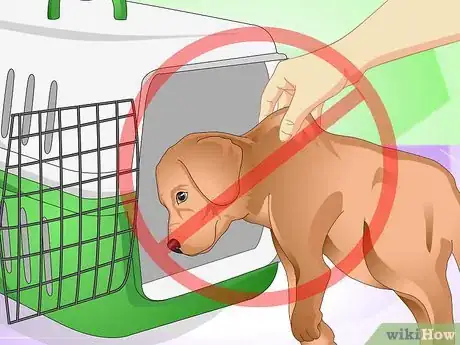 Image titled Discipline a New Puppy Step 19