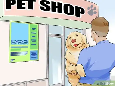 Image titled Find a Good Dog Groomer Step 3