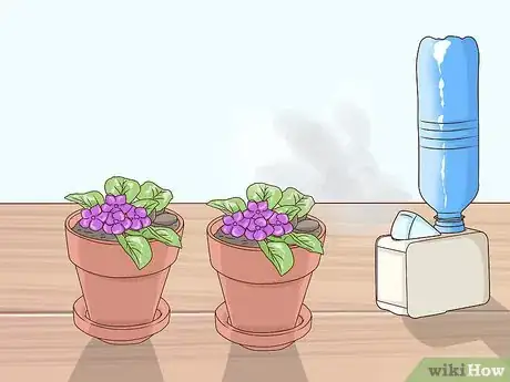 Image titled Grow African Violets Step 14