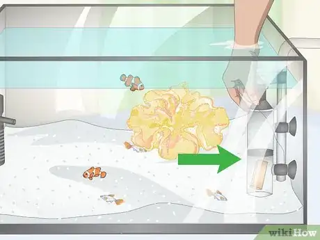 Image titled Reduce Saltwater Reef Aquarium Maintenance Step 7