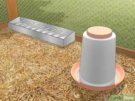 Image titled Care for an Asian Common Quail Step 4