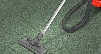 Kill Fleas Naturally