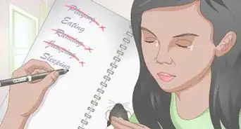 Care for an Elderly Guinea Pig