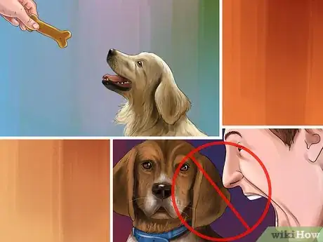 Image titled Deal with Canine Noise Aversion Step 10