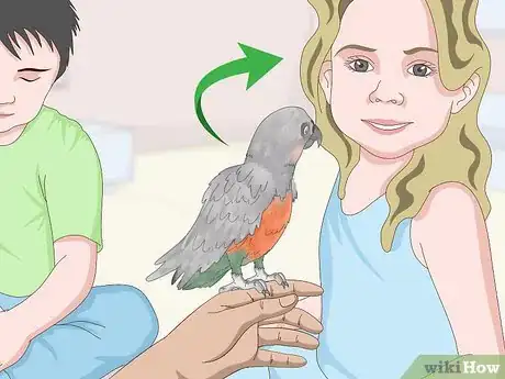 Image titled Know if a Red Bellied Parrot Is Right for You Step 9