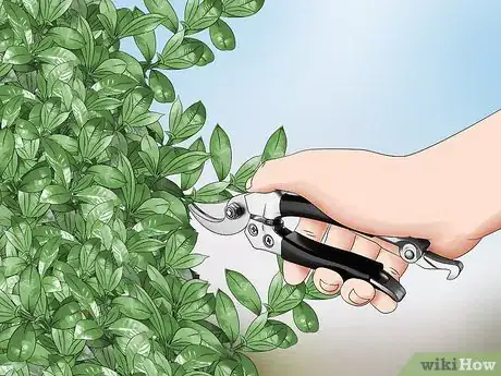 Image titled Keep Ticks Out of Your Yard Step 2