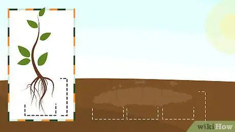 Image titled Grow Crepe Myrtle Step 6