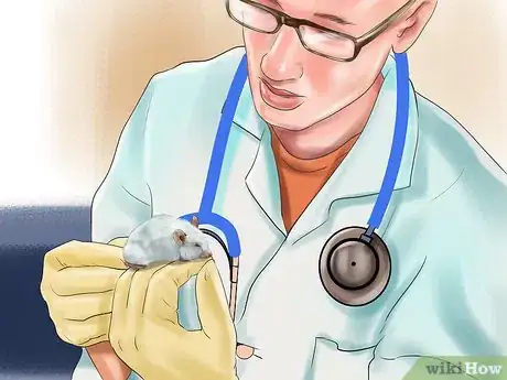 Image titled Diagnose Mousepox Step 5