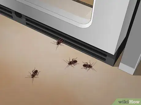 Image titled Identify a Cockroach Step 22