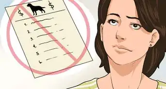 Buy a Labrador Retriever Puppy