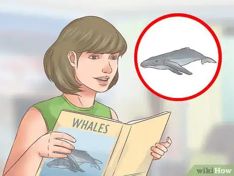 Image titled Go Whale Watching in Winter Step 1