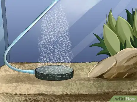 Image titled Clean an Air Stone Step 8