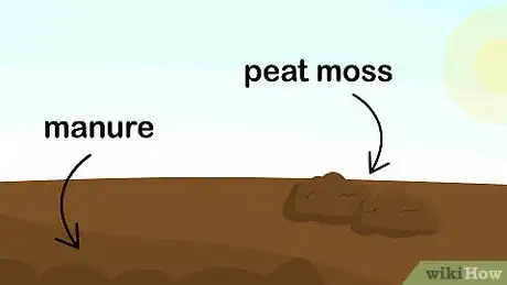 Image titled Grow Crepe Myrtle Step 4