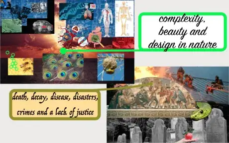 Image titled Understand Why Christians Believe the Bible is True step 4.png