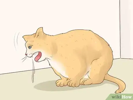 Image titled Give Atenolol to Cats with Heart Disease Step 9