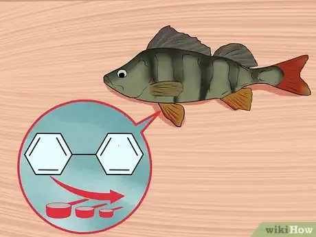 Image titled Avoid Eating Fish Containing Pollutants Step 3