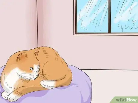 Image titled Keep a Cat Safe Step 6