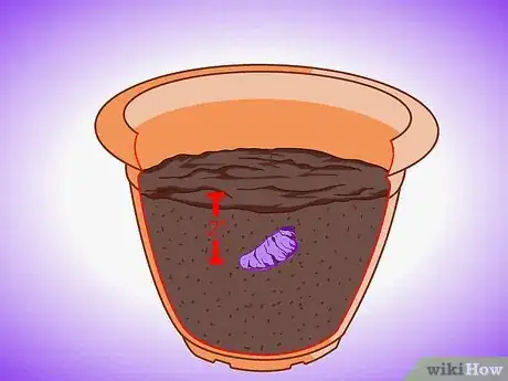 Image titled Plant Aquatic Plants Step 15