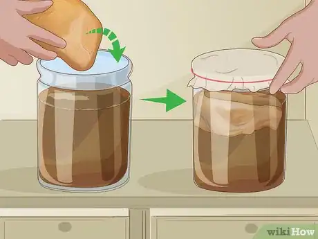 Image titled Grow Scoby Step 13