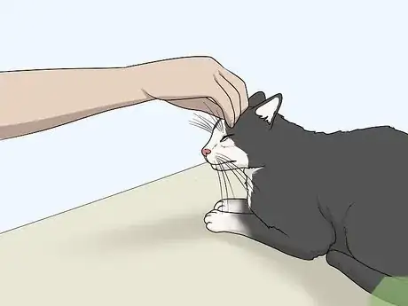 Image titled Soothe Your Cat With a Massage Step 5