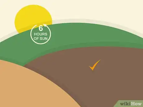 Image titled Plant Arugula Step 10