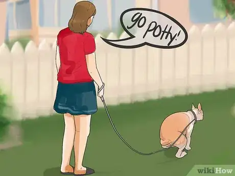 Image titled Prepare Your Dog for a Road Trip Step 5