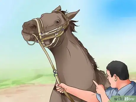 Image titled Be Comfortable Around a Bad‐Tempered Horse Step 7