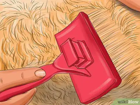 Image titled Groom a Goldendoodle Step 16